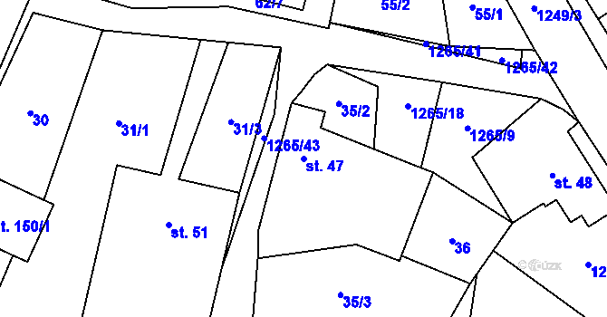 Parcela st. 47 v KÚ Černovice u Kunštátu, Katastrální mapa