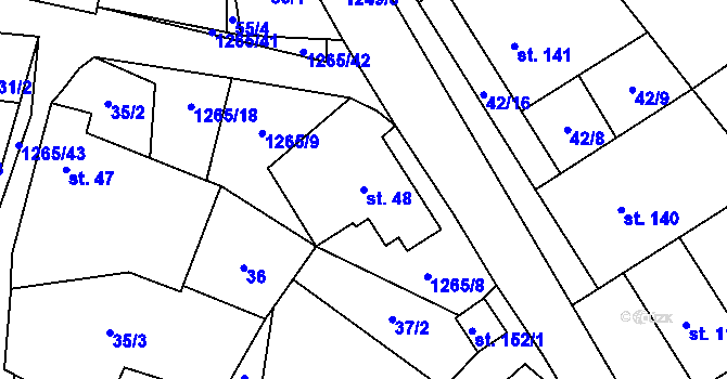 Parcela st. 48 v KÚ Černovice u Kunštátu, Katastrální mapa