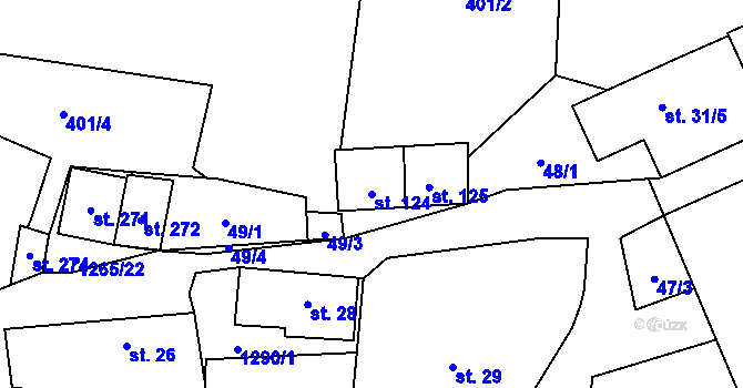 Parcela st. 124 v KÚ Černovice u Kunštátu, Katastrální mapa