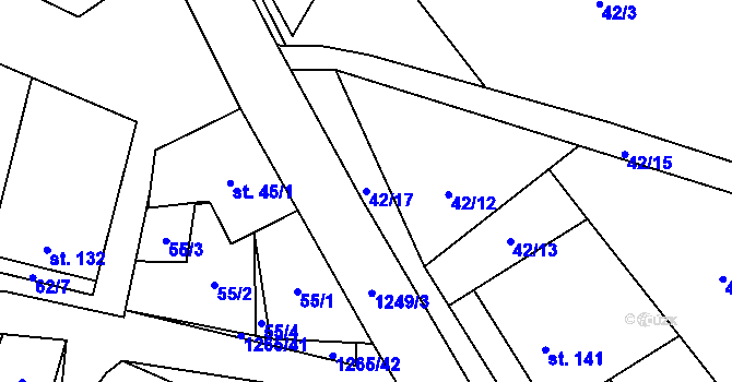 Parcela st. 42/17 v KÚ Černovice u Kunštátu, Katastrální mapa
