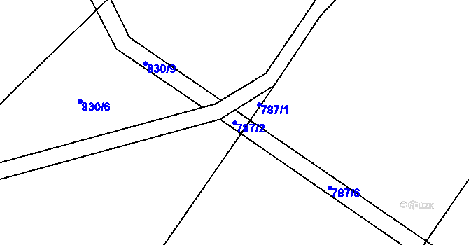 Parcela st. 787/2 v KÚ Černovice u Kunštátu, Katastrální mapa