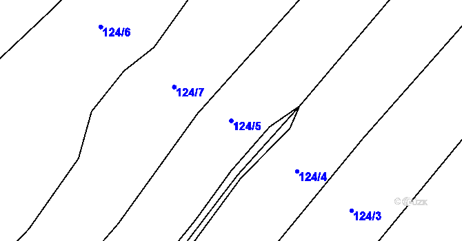 Parcela st. 124/5 v KÚ Černovice u Kunštátu, Katastrální mapa
