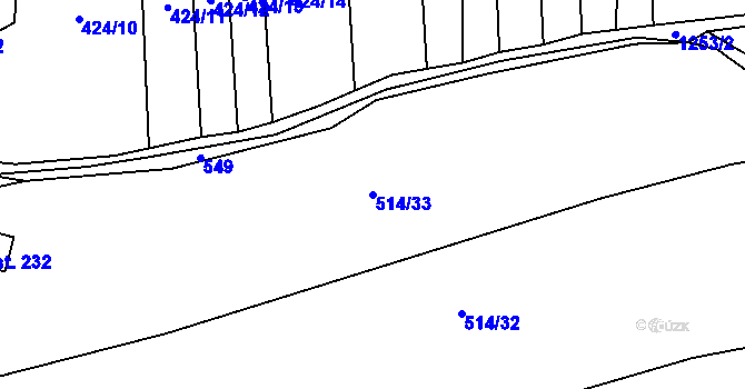 Parcela st. 514/33 v KÚ Černovice u Kunštátu, Katastrální mapa