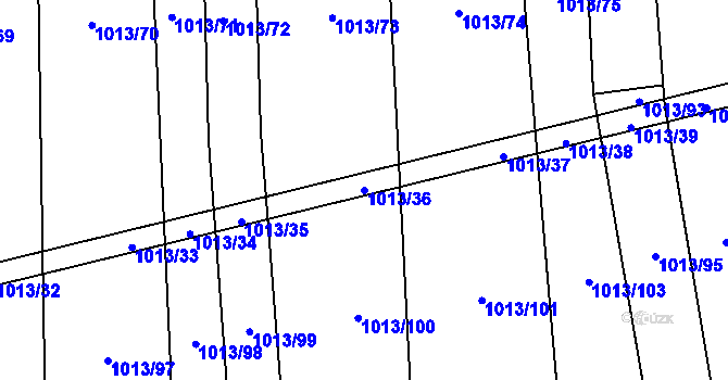 Parcela st. 1013/36 v KÚ Černovice u Kunštátu, Katastrální mapa
