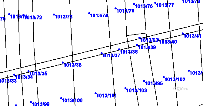 Parcela st. 1013/37 v KÚ Černovice u Kunštátu, Katastrální mapa