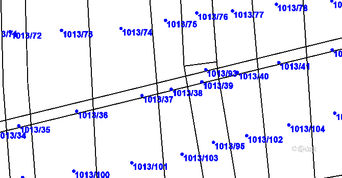 Parcela st. 1013/38 v KÚ Černovice u Kunštátu, Katastrální mapa