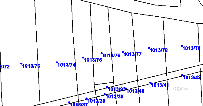 Parcela st. 1013/76 v KÚ Černovice u Kunštátu, Katastrální mapa