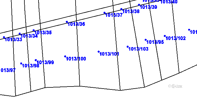 Parcela st. 1013/101 v KÚ Černovice u Kunštátu, Katastrální mapa