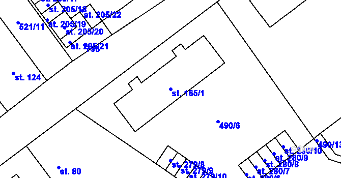 Parcela st. 165/1 v KÚ Černožice nad Labem, Katastrální mapa