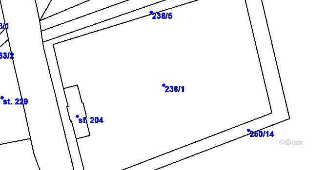 Parcela st. 238/1 v KÚ Černý Důl, Katastrální mapa