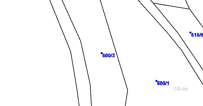 Parcela st. 500/3 v KÚ Černý Důl, Katastrální mapa
