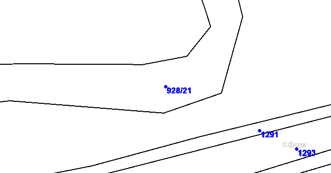 Parcela st. 928/21 v KÚ Černý Důl, Katastrální mapa