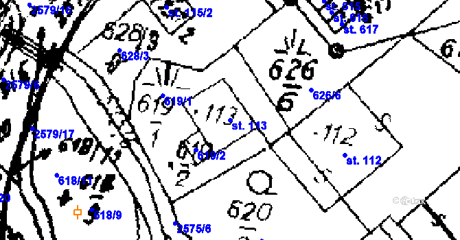 Parcela st. 113 v KÚ Červená Voda, Katastrální mapa