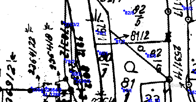 Parcela st. 80/1 v KÚ Červená Voda, Katastrální mapa