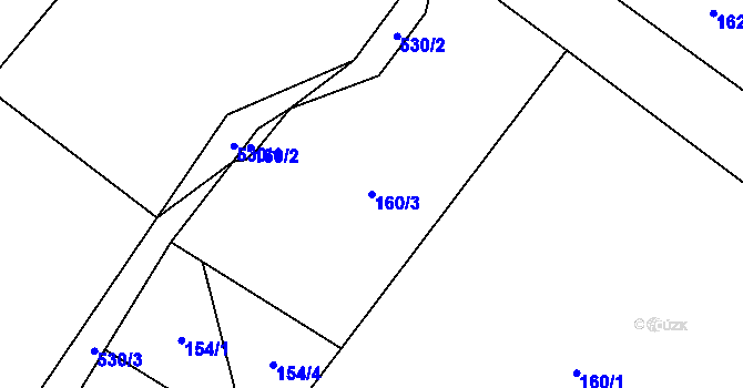 Parcela st. 160/3 v KÚ Dolní Orlice, Katastrální mapa
