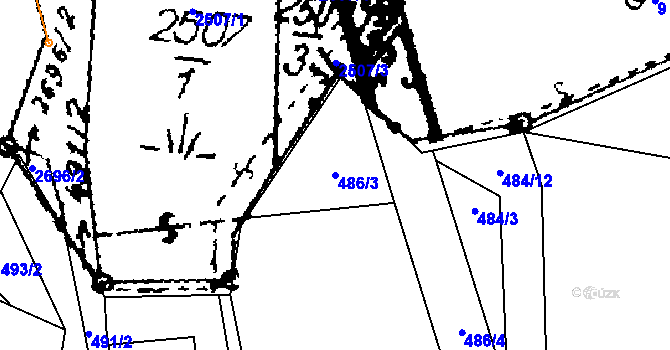 Parcela st. 486/3 v KÚ Mlýnický Dvůr, Katastrální mapa