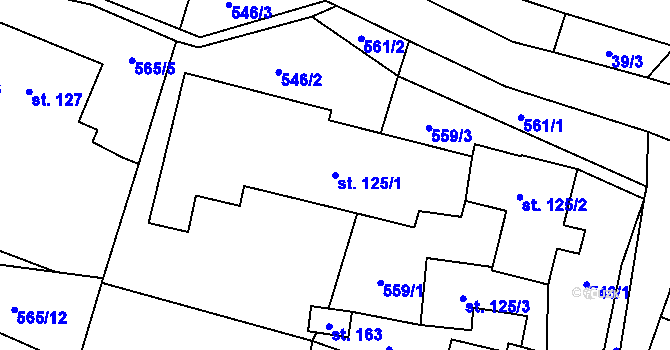 Parcela st. 125/1 v KÚ Šanov u Červené Vody, Katastrální mapa