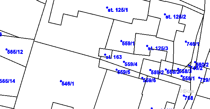 Parcela st. 163 v KÚ Šanov u Červené Vody, Katastrální mapa
