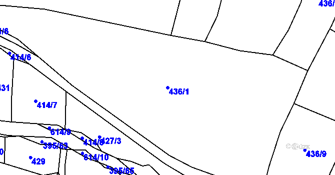 Parcela st. 436/1 v KÚ Stropčice, Katastrální mapa