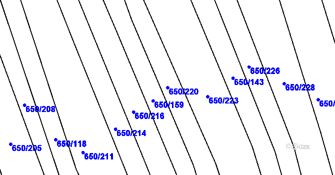 Parcela st. 650/220 v KÚ Česká, Katastrální mapa
