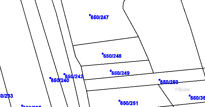Parcela st. 650/248 v KÚ Česká, Katastrální mapa
