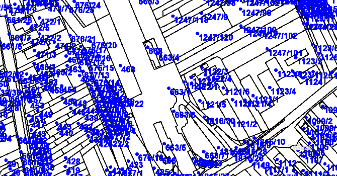 Parcela st. 663/1 v KÚ Česká, Katastrální mapa