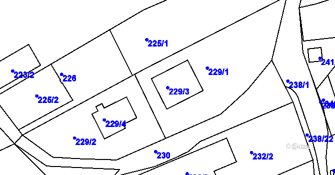 Parcela st. 229/3 v KÚ Česká, Katastrální mapa