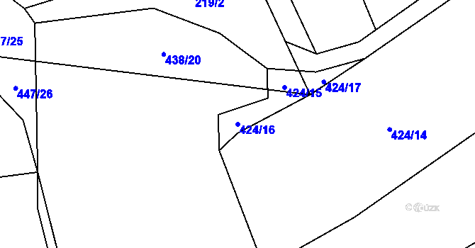 Parcela st. 424/16 v KÚ Česká Bříza, Katastrální mapa