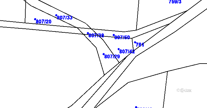 Parcela st. 807/29 v KÚ Česká Rybná u Žamberka, Katastrální mapa