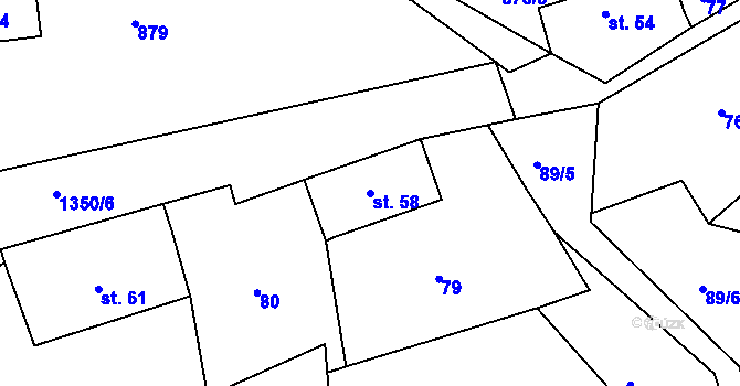 Parcela st. 58 v KÚ Česká Rybná u Žamberka, Katastrální mapa