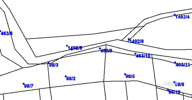 Parcela st. 463/9 v KÚ Říkov, Katastrální mapa