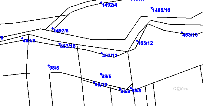 Parcela st. 463/11 v KÚ Říkov, Katastrální mapa