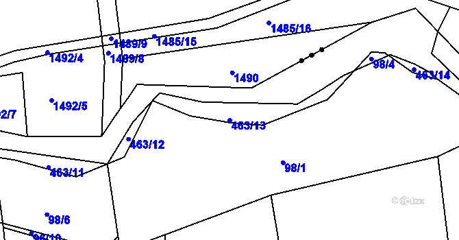 Parcela st. 463/13 v KÚ Říkov, Katastrální mapa