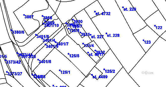 Parcela st. 125/4 v KÚ Česká Třebová, Katastrální mapa