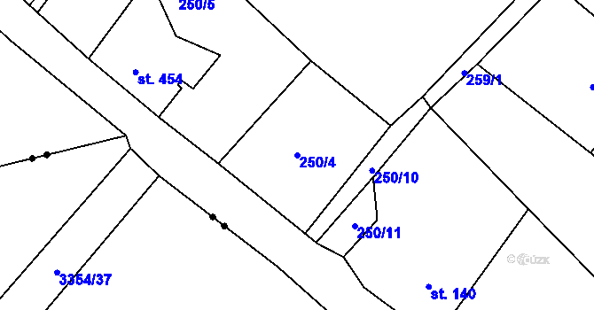 Parcela st. 250/4 v KÚ Parník, Katastrální mapa