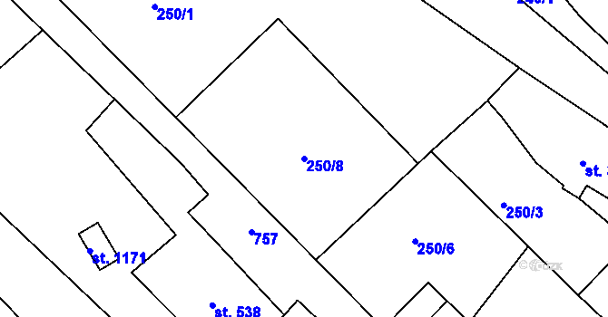 Parcela st. 250/8 v KÚ Parník, Katastrální mapa