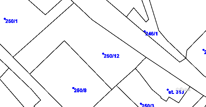 Parcela st. 250/12 v KÚ Parník, Katastrální mapa
