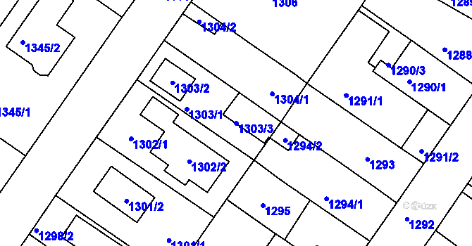 Parcela st. 1303/3 v KÚ České Budějovice 3, Katastrální mapa