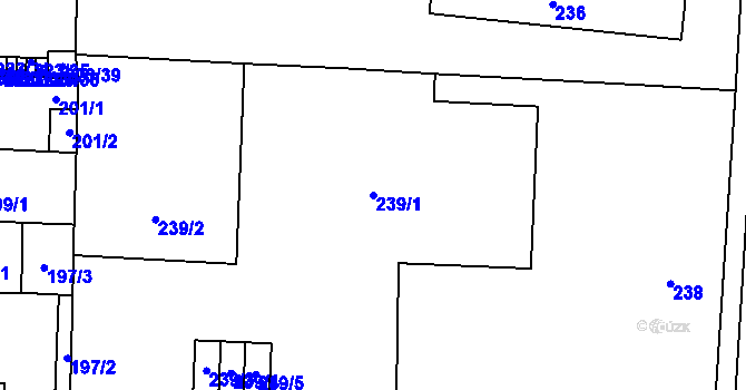 Parcela st. 239/1 v KÚ České Budějovice 7, Katastrální mapa