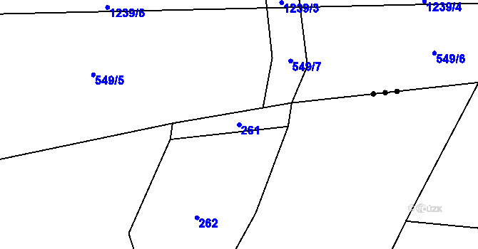 Parcela st. 261 v KÚ Hodonín u Nasavrk, Katastrální mapa
