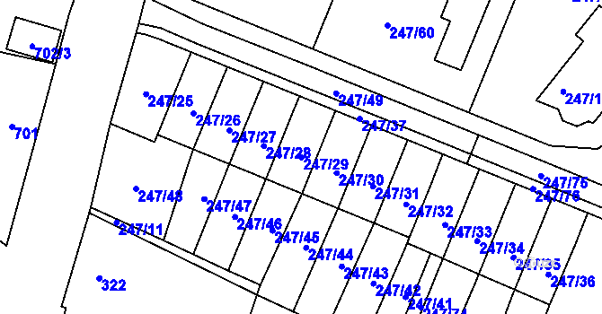 Parcela st. 247/29 v KÚ České Meziříčí, Katastrální mapa