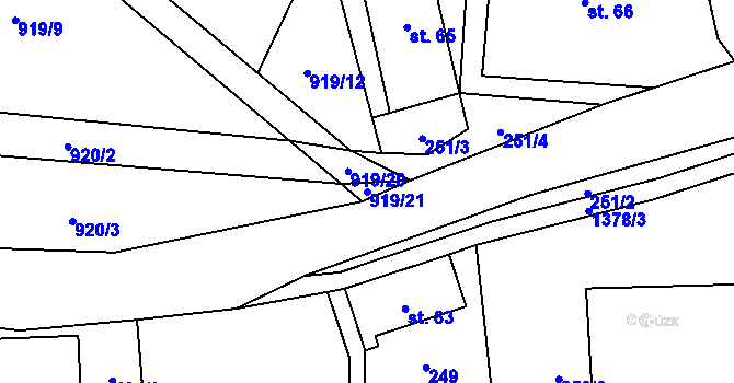 Parcela st. 919/21 v KÚ České Petrovice, Katastrální mapa