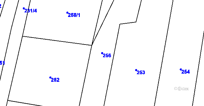 Parcela st. 256 v KÚ Dolní Žukov, Katastrální mapa
