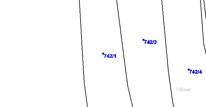 Parcela st. 742/1 v KÚ Dolní Žukov, Katastrální mapa