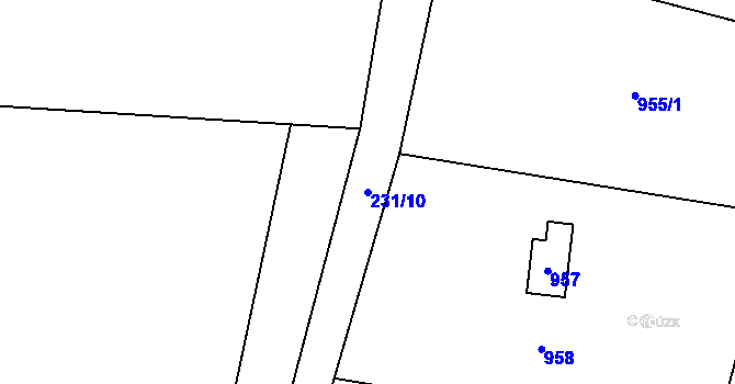 Parcela st. 231/10 v KÚ Dolní Žukov, Katastrální mapa