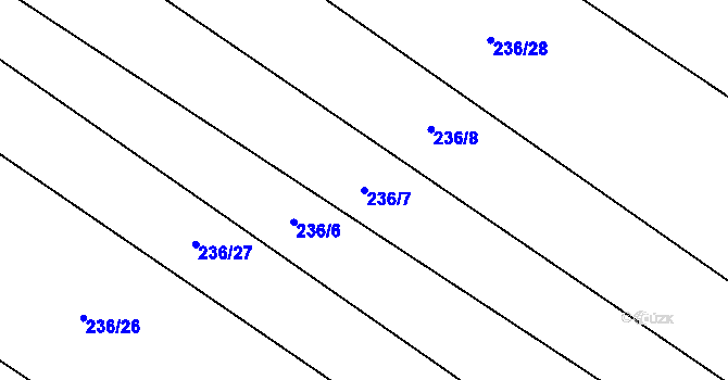 Parcela st. 236/7 v KÚ Polipsy, Katastrální mapa
