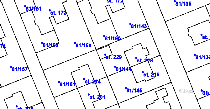 Parcela st. 229 v KÚ Nupaky, Katastrální mapa
