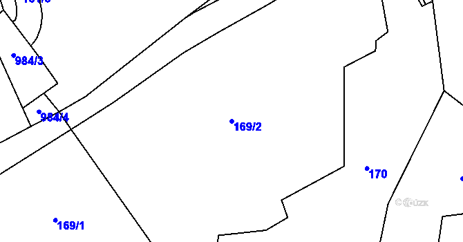 Parcela st. 169/2 v KÚ Číčov, Katastrální mapa