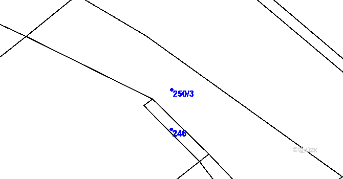 Parcela st. 250/3 v KÚ Brtnický Číchov, Katastrální mapa