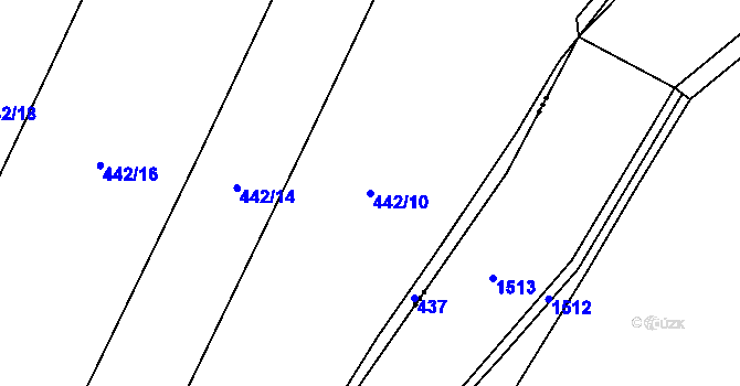 Parcela st. 442/10 v KÚ Brtnický Číchov, Katastrální mapa